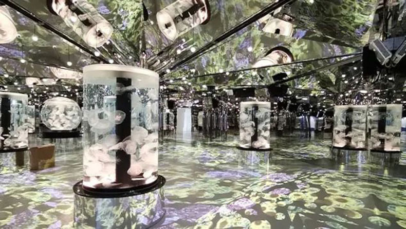 臺灣 Xpark 水族館，全方位沉浸式暢快游樂體驗